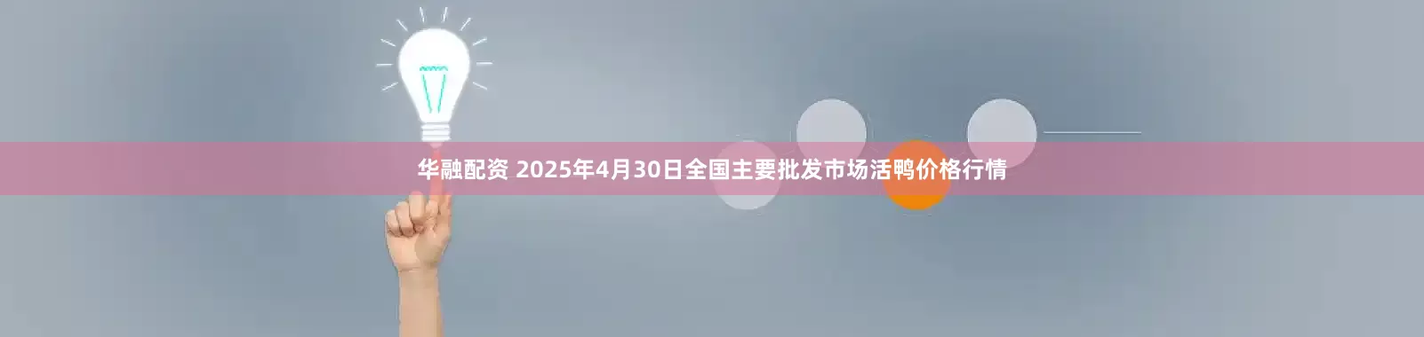 华融配资 2025年4月30日全国主要批发市场活鸭价格行情
