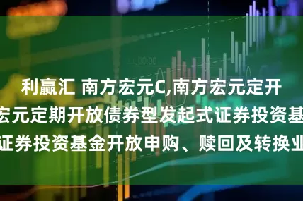 利赢汇 南方宏元C,南方宏元定开债券发起: 南方宏元定期开放债券型发起式证券投资基金开放申购、赎回及转换业务的公告