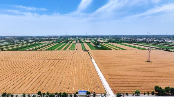新影宝 秋粮有望再丰收 水利如何提供保障？专访水利部农村水利水电司司长倪文进｜部委司局长访谈
